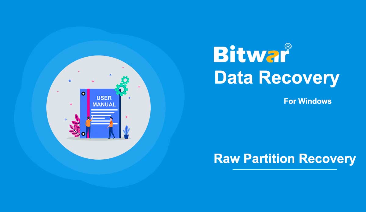 Raw Partition Recovery