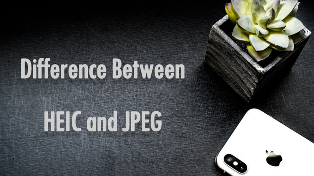 Difference Between PDF and Word