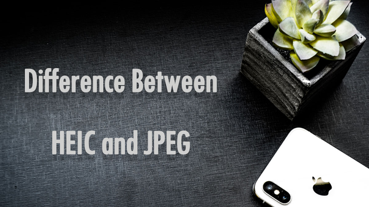 Learn The Difference Between HEIC and JPEG Image!