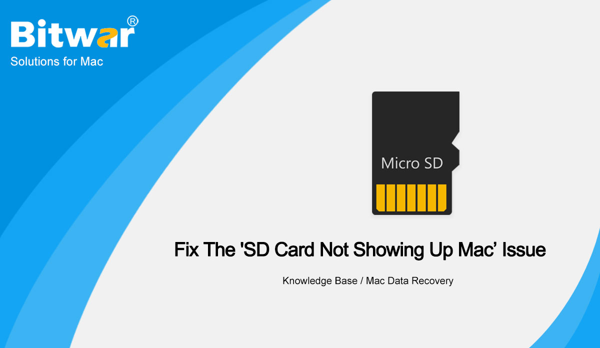 Fix The 'SD Card Not Showing Up Mac’ Issue