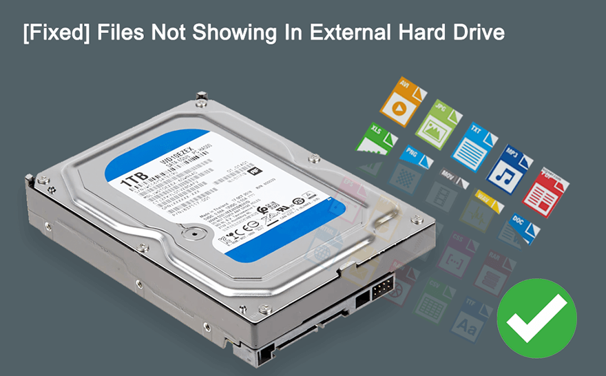 Files Not Showing In External Hard Drive