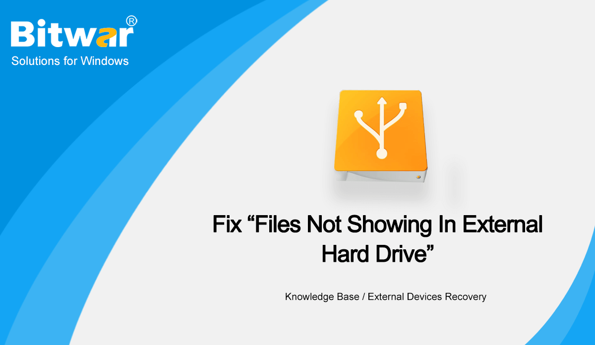 [Fixed] Files Not Showing In External Hard Drive