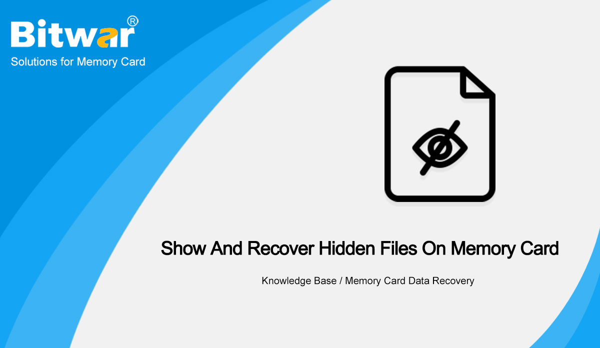 Show And Recover Hidden Files On Memory Card