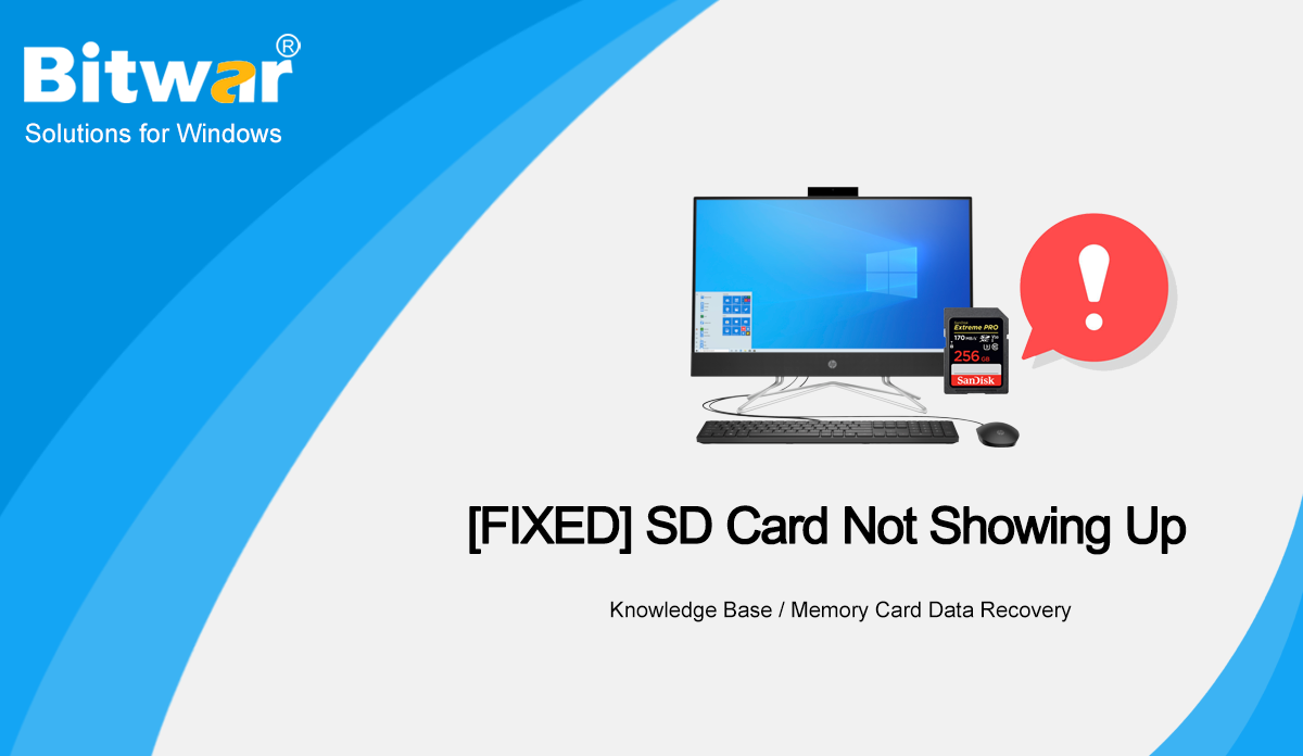 [FIXED] SD Card Not Showing Up