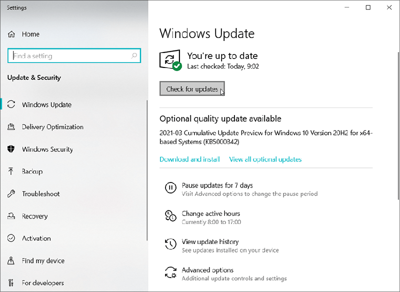 Update Windows Installation